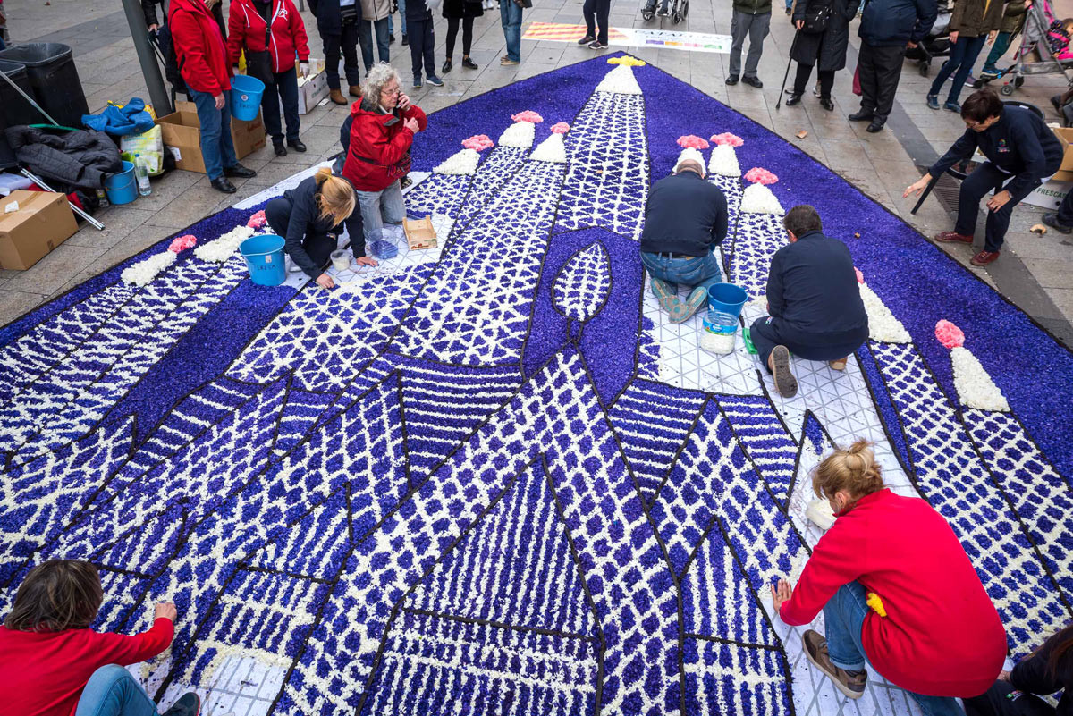 catifa-floral-FEDECAT-fotografia-poch_4396